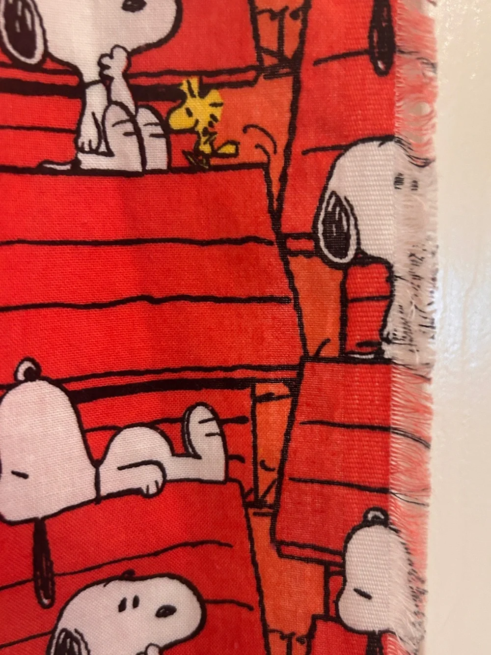 Peanuts Gang snoopy woodstock